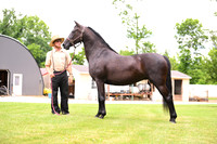 AJB_0596