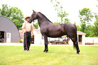 AJB_0597