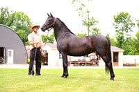 AJB_0598