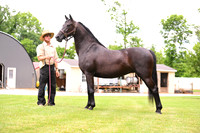 AJB_0599