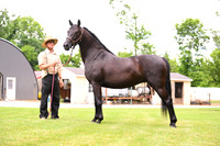 AJB_0600