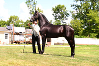 AJB_3042