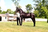 AJB_3043