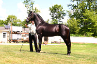 AJB_3044