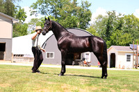 AJB_3045