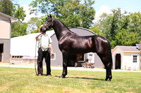 AJB_3046