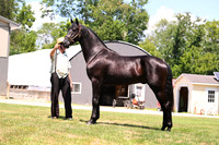 AJB_3047