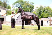 AJB_3049