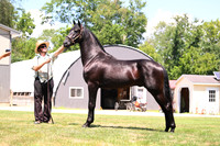 AJB_3051