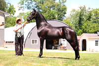 AJB_3052