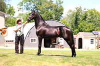 AJB_3054