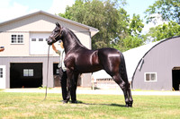 AJB_3057