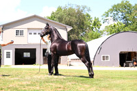 AJB_3055