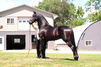 AJB_3058
