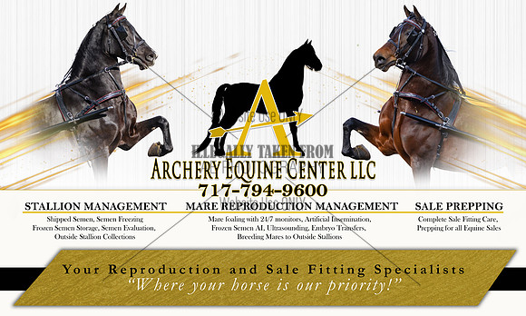 Archery Banner-2