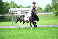 AJB_3380