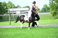 AJB_3381