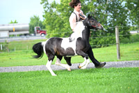 AJB_3391
