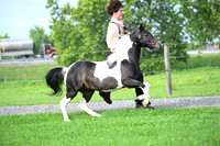 AJB_3392