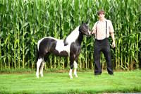 AJB_3218