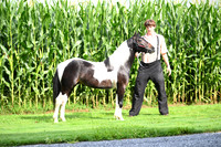 AJB_3222