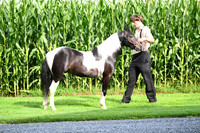 AJB_3225