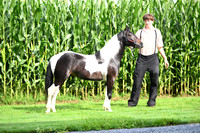 AJB_3223