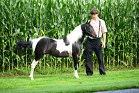 AJB_3229