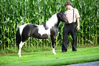 AJB_3230