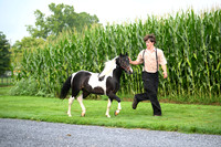 AJB_3234