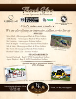 Second Page Ad-small file