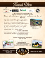 Second Page Ad