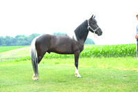 AJB_1470