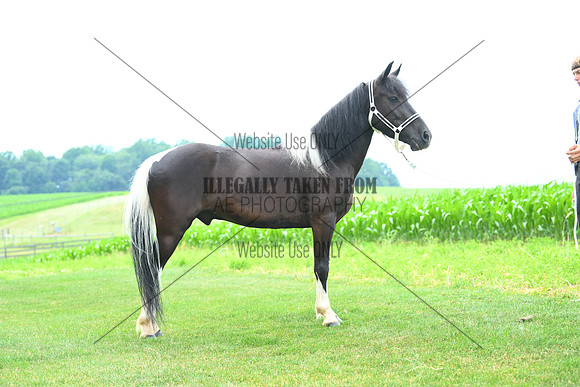 AJB_1470