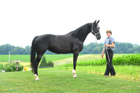 AJB_1405