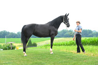 AJB_1406
