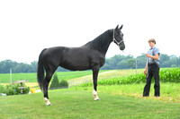 AJB_1407