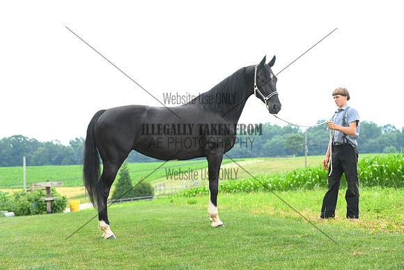 AJB_1407
