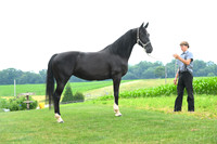 AJB_1408