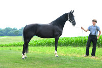 AJB_1415