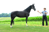 AJB_1416