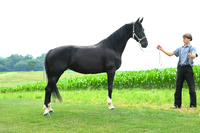 AJB_1417