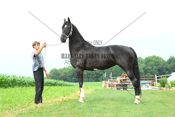 AJB_1418