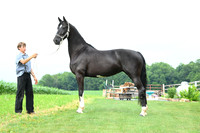 AJB_1419