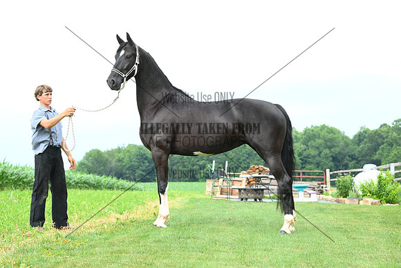 AJB_1419