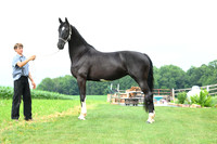 AJB_1420