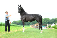 AJB_1421