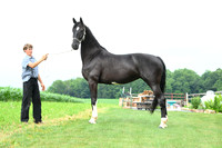AJB_1422