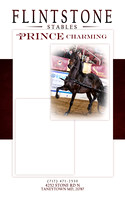 Stallion page