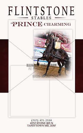 Stallion page